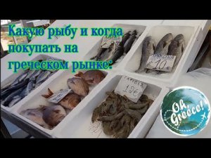 Какую рыбу и когда покупать на греческом рынке. Жизнь в Греции.