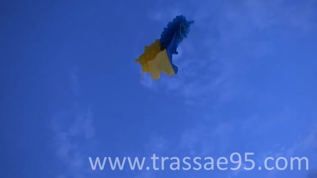Гигантский флаг Украины взмыл над Одессой смотреть онлайн