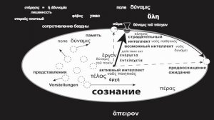 Феноменология Аристотеля. № 10. Онтология силы и ужас материи