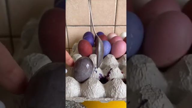 Красим яйца натуральными красителями!