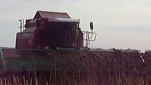 Жатки НАШ - урожай Ваш! смотреть онлайн