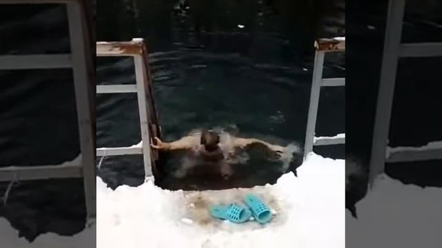 Крещение 2019, купание в проруби! смотреть онлайн