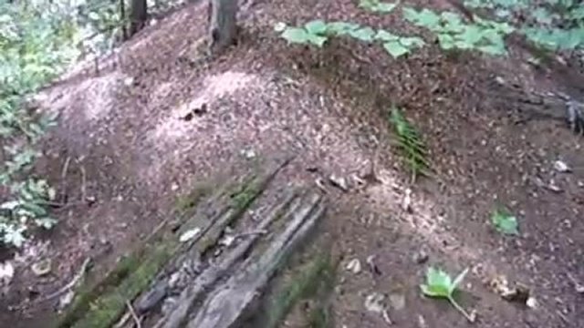 Гигантский муравейник. Коттеджные поселки Екатеринбурга