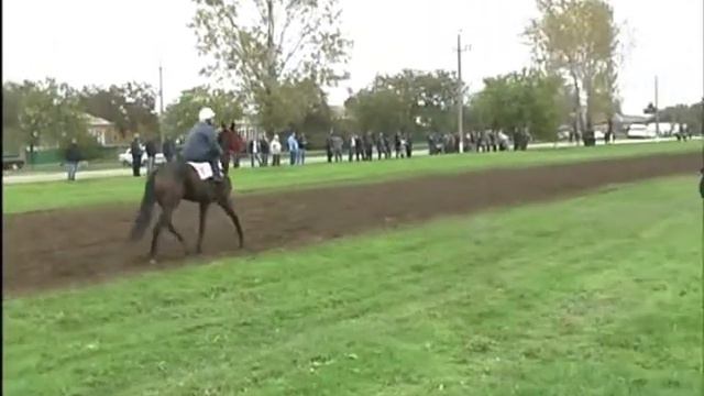 фальшстарты на скачках