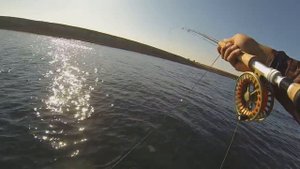 Сарган нахлыстом с лодки. Черноморское 10.2019.