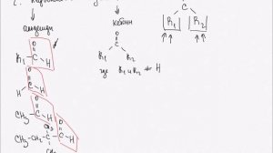 Тема 2.5 Классификация производных углеводородов