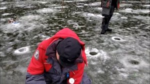 Ловля форели на актив и поставушки зимой со льда. На запуске блесна вильямс "морковка". Клёвое мест