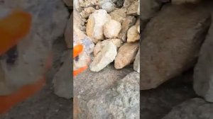 Минералы кварц, морион и топаз и их поиск