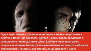 Мои любимые книги:  Гарри Поттер