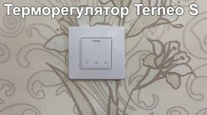 Терморегулятор Terneo S