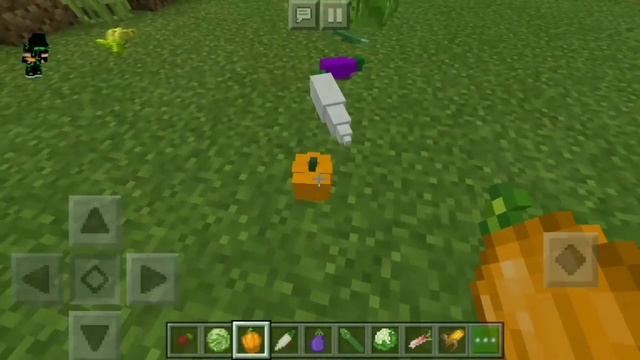 МОД НА РАСТЕНИЯ МАЙНКРАФТ PE 1.9 смотреть онлайн