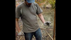 Быстрая чистка орехов от кожуры. Сохраняем урожай от белок и других соседей.