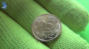 Регулярный чекан. Монет Приднестровья за 2024 год. 5 коп. 10 коп . 25 коп . 50 коп. #798