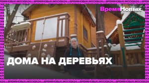 Дома на деревьях — Москва24 | Контент