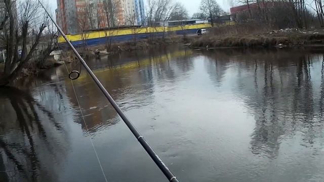 Дроп- шот спас рыбалку .р. Пехорка