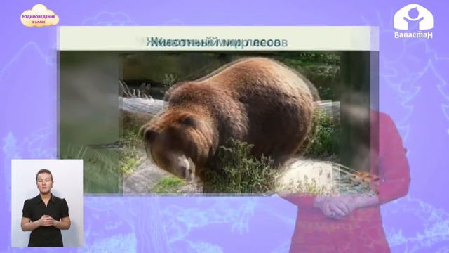 3-класс   Родиноведение  Разнообразие растительного и животного мира