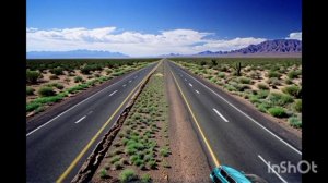 Жизнь котов 4 долго что то не было