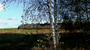 Осень.  Llewellyn.Kindred Souls pt 1.