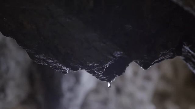 Obi Zulol смотреть онлайн