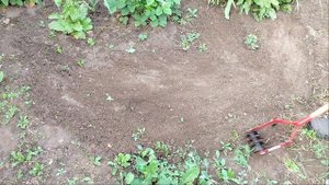 Тест культиватора Сатурн 2