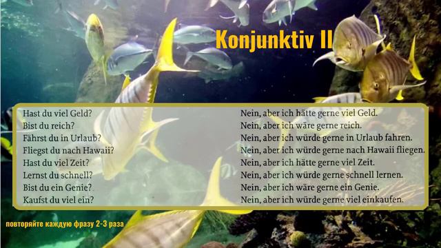 Немецкий язык. "KONJUNKTIV II" #уроки_немецкого #немецкий #A2 смотреть онлайн