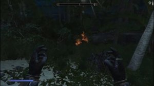 Enderal прохождение на русском 68 Великий охотник за яйцами