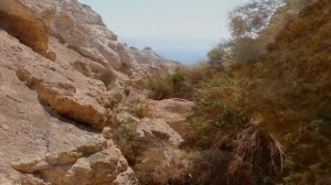 ישראל טבע מפל מיים עין גדי Израиль природа водопад Эйн Геди Israel nature ein gedi waterfall
