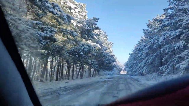 21 января 2024 г. зимний лес. картины писать. смотреть онлайн