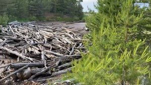 Деревня Солза на море в Архангельской области. Красота природы в 40 минутах от города #Северодвинск