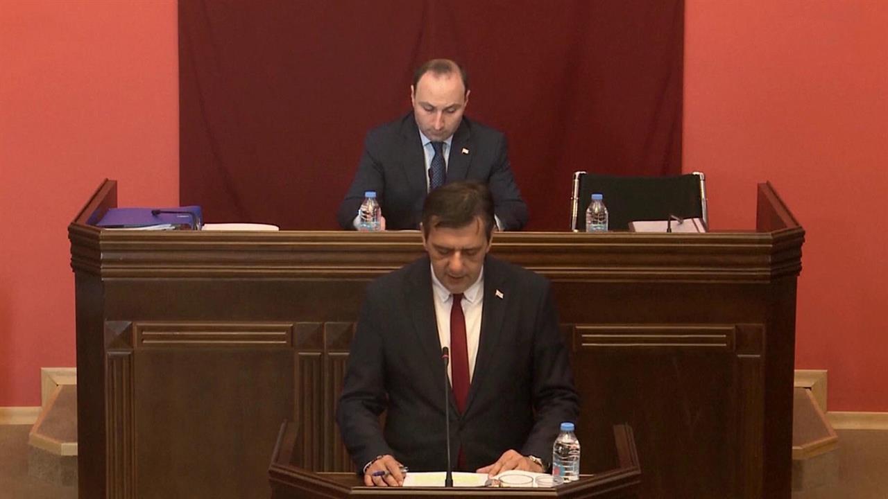 Грузинский парламент начал процедуру преодоления вето президента на закон об иноагентах