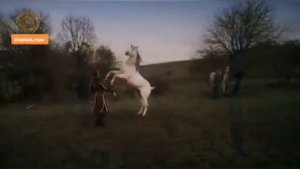 красивые моменты из сериала Воскресший Эртугрул!!!