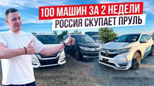 100 машин за 2 недели Что с ценами на авто из Японии❓ Новый CR-V Гибрид❗️StepWagon❗️Serena