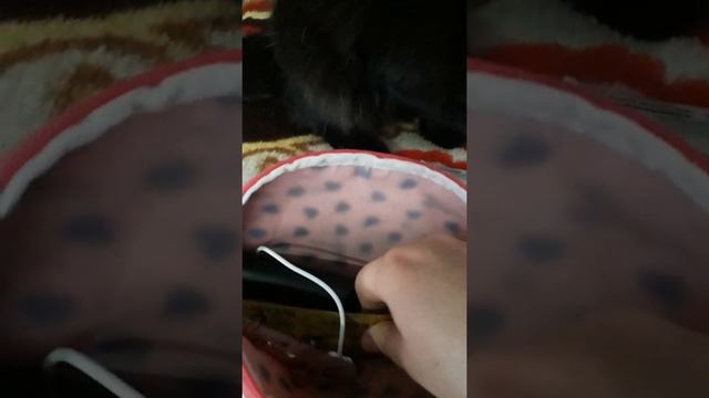 Что в косметичке у диабетика. смотреть онлайн