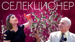 Секреты селекционера: как создать сад мечты на своем участке?