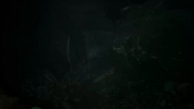 BLAIR WITCH (2019) ВЕДЬМА из БЛЭР ◄ Прохождение #3 ► ХИЖИНА В ЛЕСУ