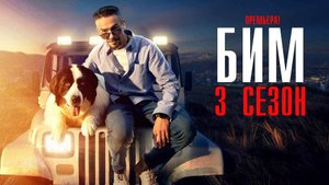БиМ 3 сезон 1-30 серия сериал детектив НТВ 2024