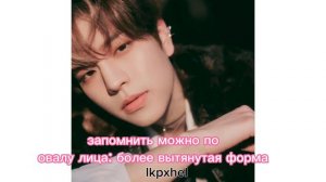 Знакомимся со Stray kids | видео для новичков/бейби стей | stray kids | 스트레이 키즈