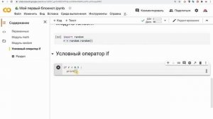 Google Collab. Блокнот для программиста питон