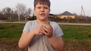 мы с маркомком нашли дракона