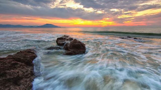 Orchids | Relaxing music смотреть онлайн