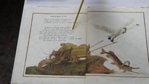 "Лебедь, Щука и Рак" И.А. Крылов