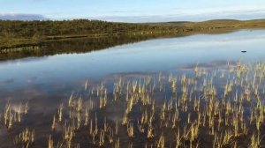 Рыбалка в тундре Кольского полуострова с 27 по 30 июля 2021 года.