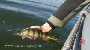 Ловля с отводным поводком на тройном вертлюжке