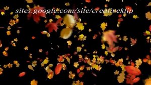 Футажи - Осенний листопад с вихрем - Preview