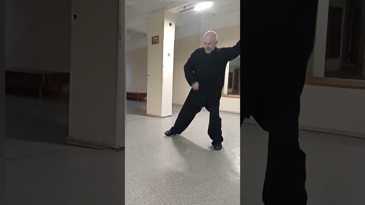 Тайцзи. Искать змею в густой траве. #kungfu #даосскиепрактики #двигайся_в_потоке #цигун