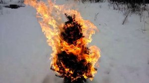 Как быстро горит елка