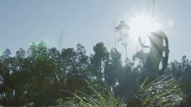 эффектные прыжки и трюки на мотоциклах смотреть онлайн