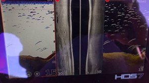 Lowrance HDS-7 Live с датчиком Active Imaging

3&1