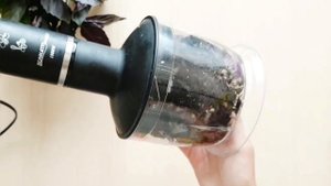 Как заготовить базилик на зиму
