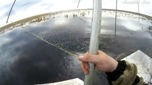 РЫБАЛКА на ПАУК (подъемник) - размер имеет значение ENG SUB